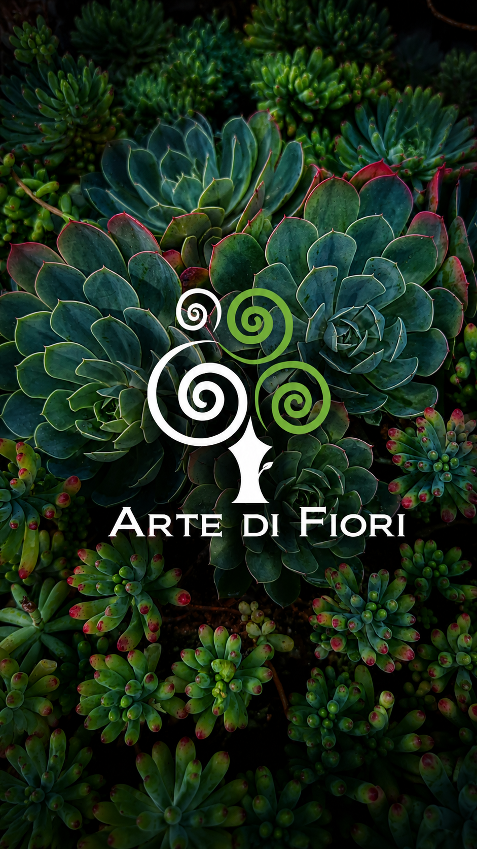 Arte di Fiori paisagismo e decorações